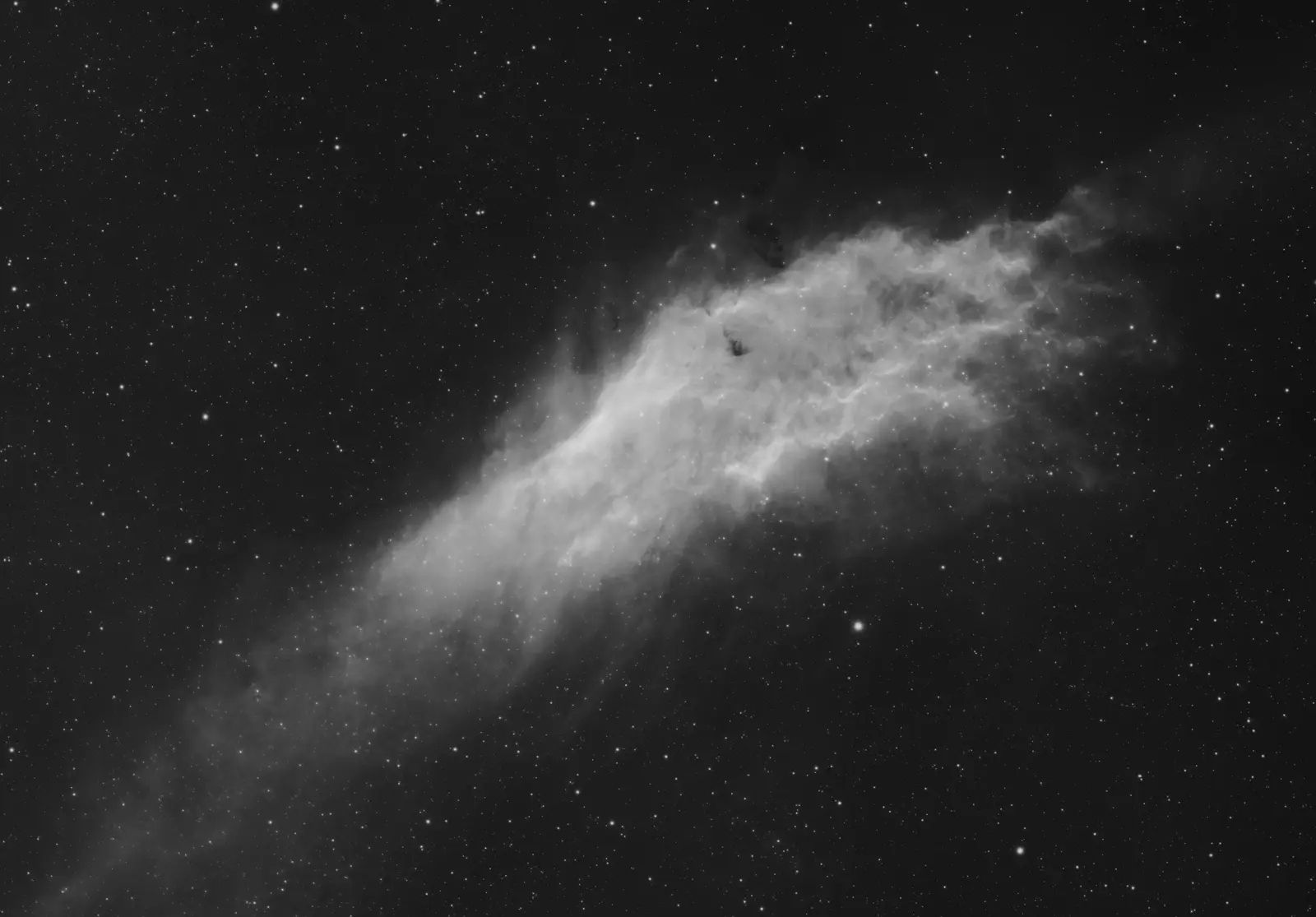 The California Nebula: a long, bright cloud of hydrogen gas crossing a field of stars, in black and white