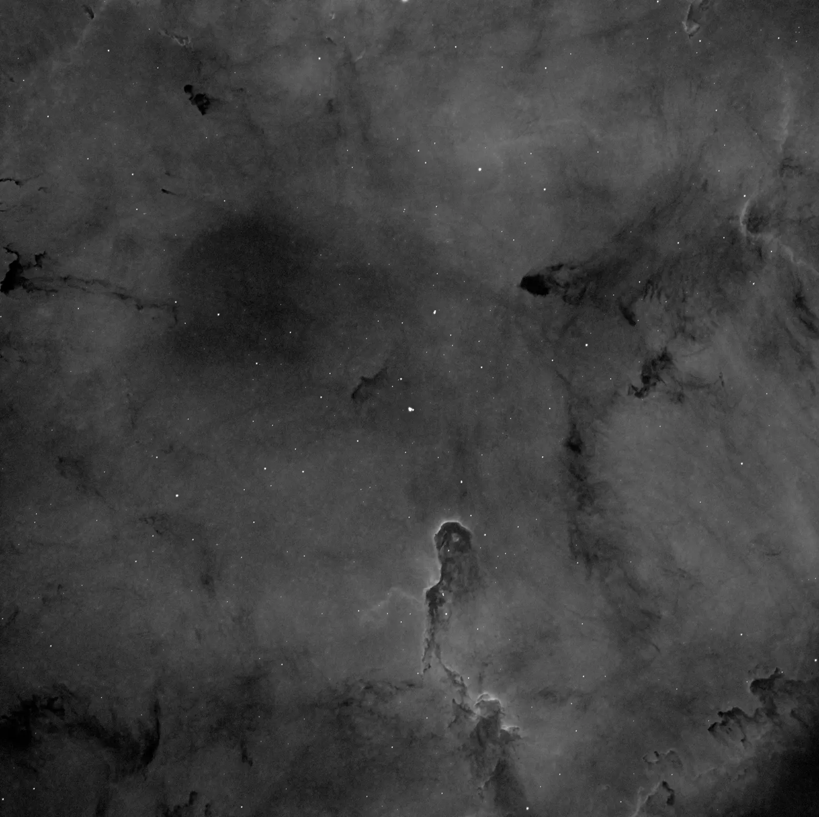 The Elephant’s Trunk Nebula: a dark, winding column of dust against glowing hydrogen gas, in black and white